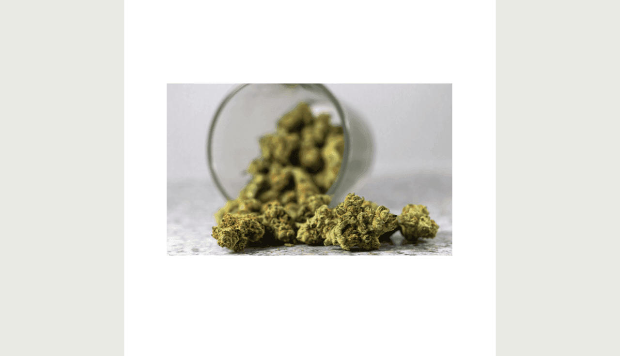 Foto eines liegenden Glases mit Cannabisblüten