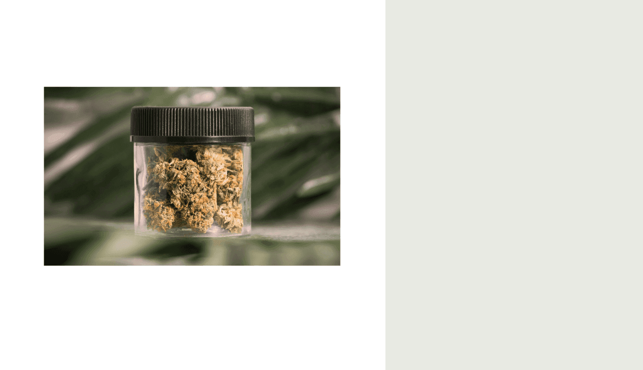 Ein Foto eines Schraubglases mit Cannabisblüten darin
