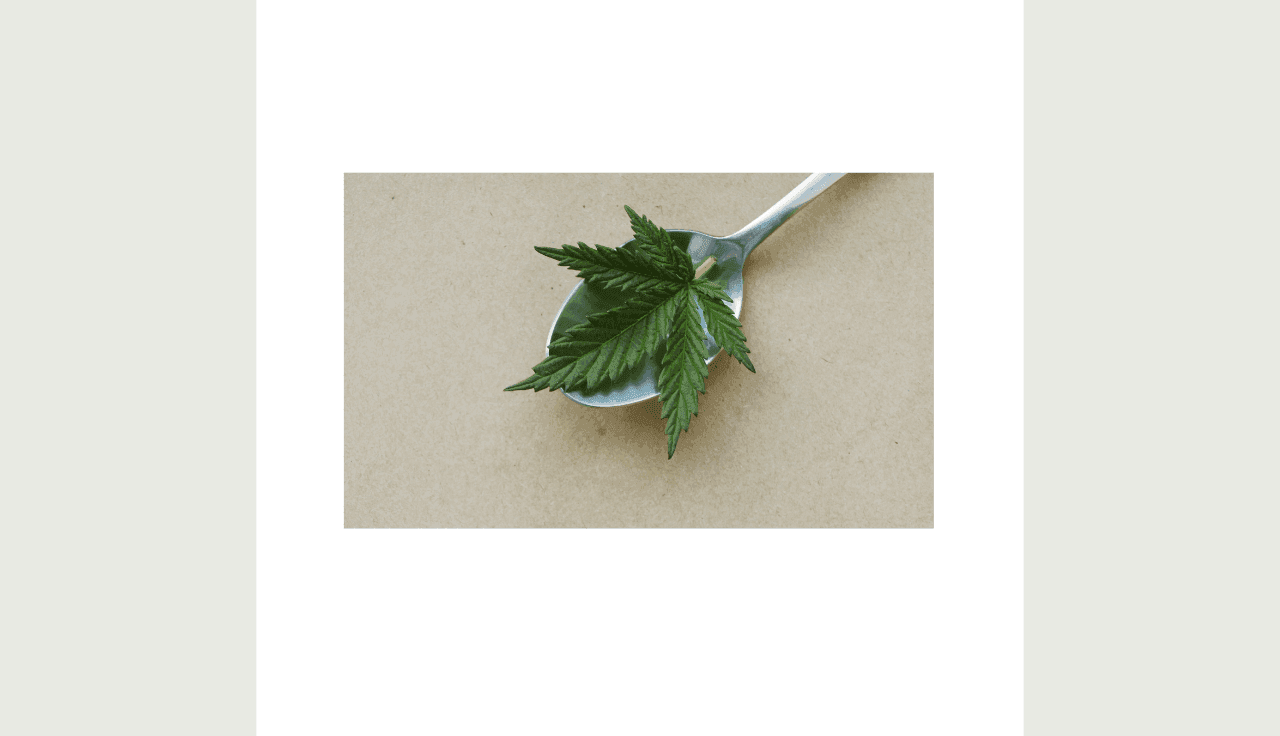 Foto eines Cannabisblattea auf einem Löffel